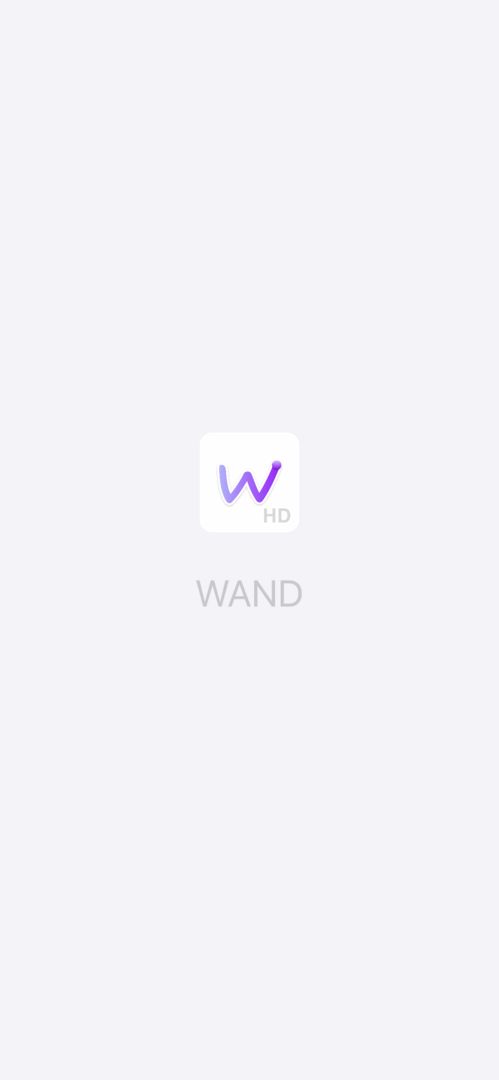 WAND软件封面