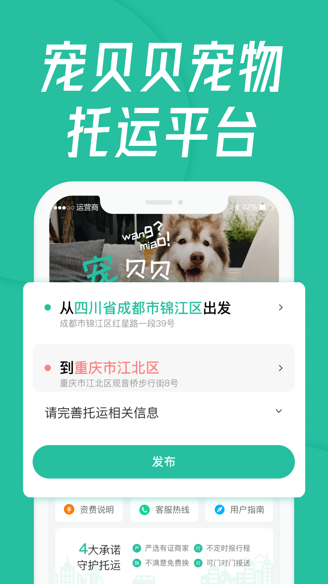 宠贝贝宠物托运平台软件封面