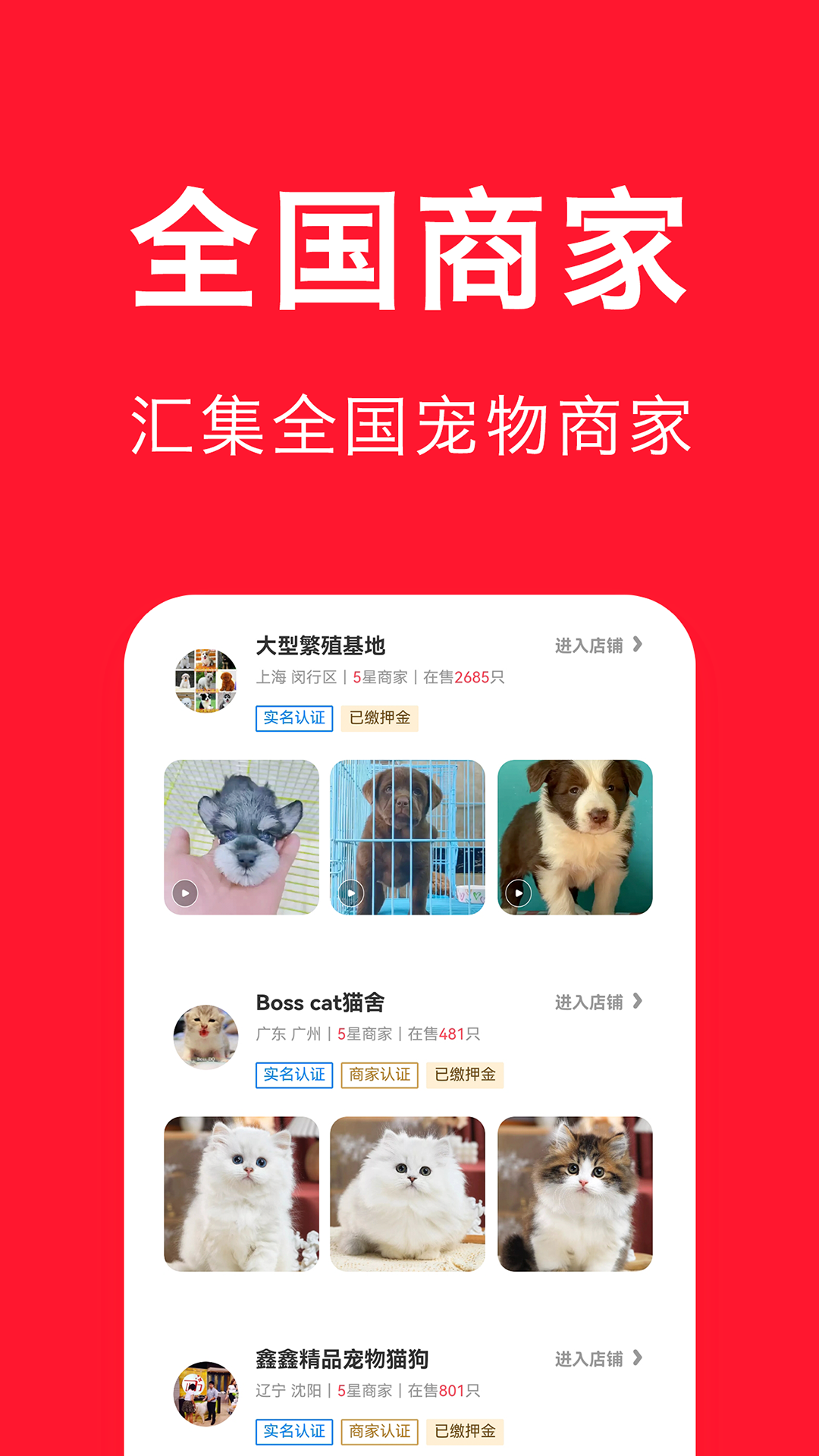 宠物宝软件封面
