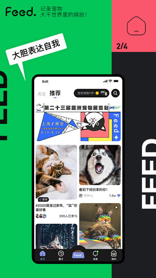 feed app软件封面