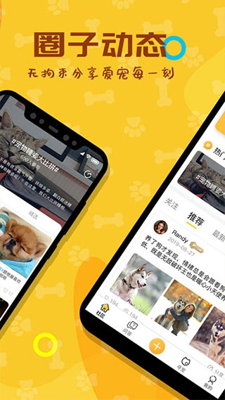 爱宠大陆app软件封面