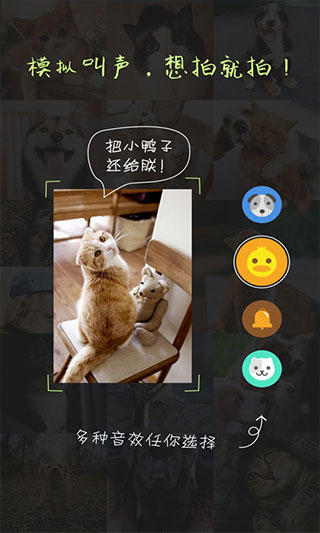 萌宠相机app软件封面