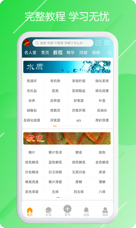 龙族软件封面