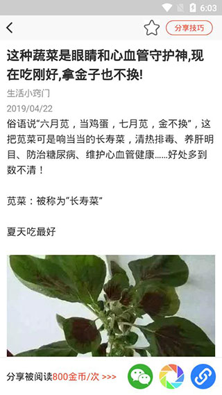 乐趣多app软件封面