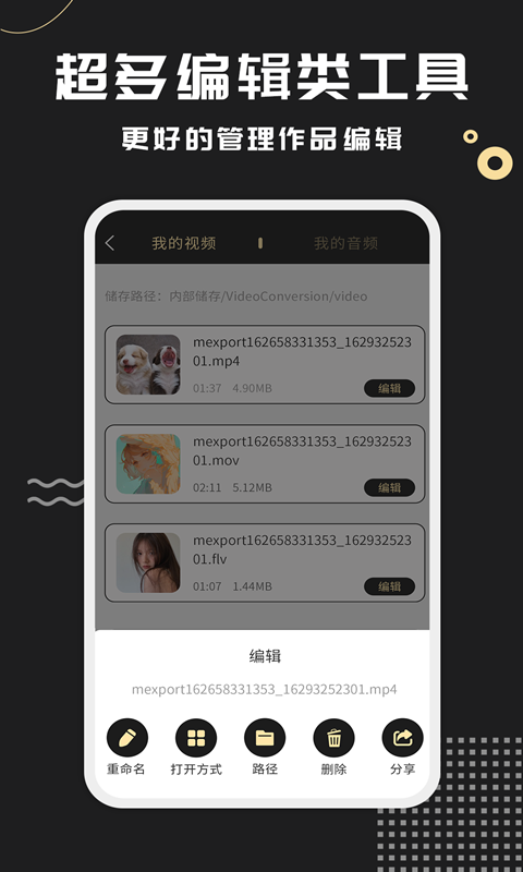 视频格式转换王软件封面