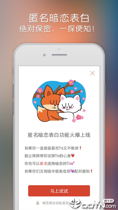 探探软件封面