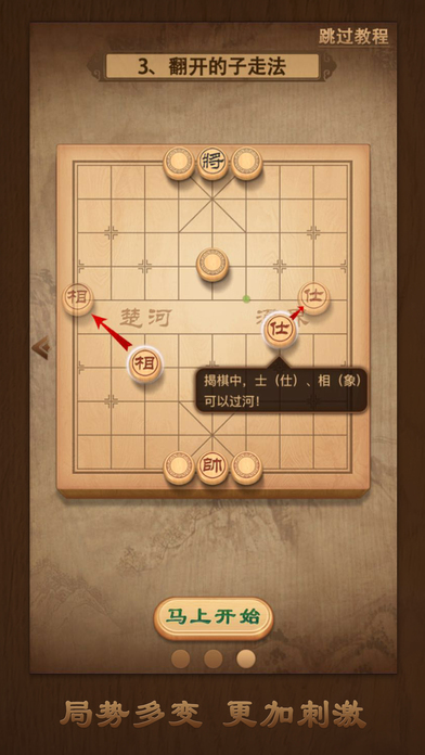 天天象棋ios软件封面