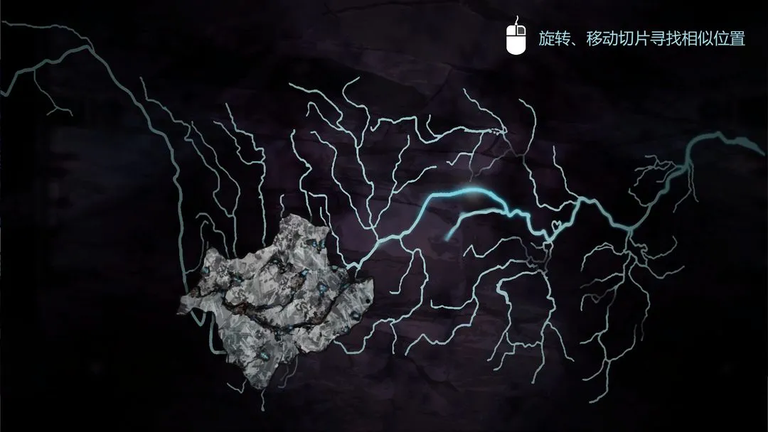 苍白花树繁茂之时软件封面