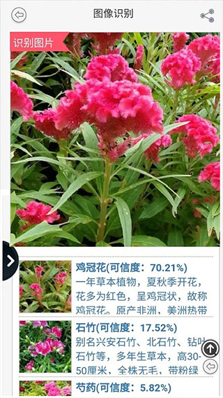 拍照识花app软件封面