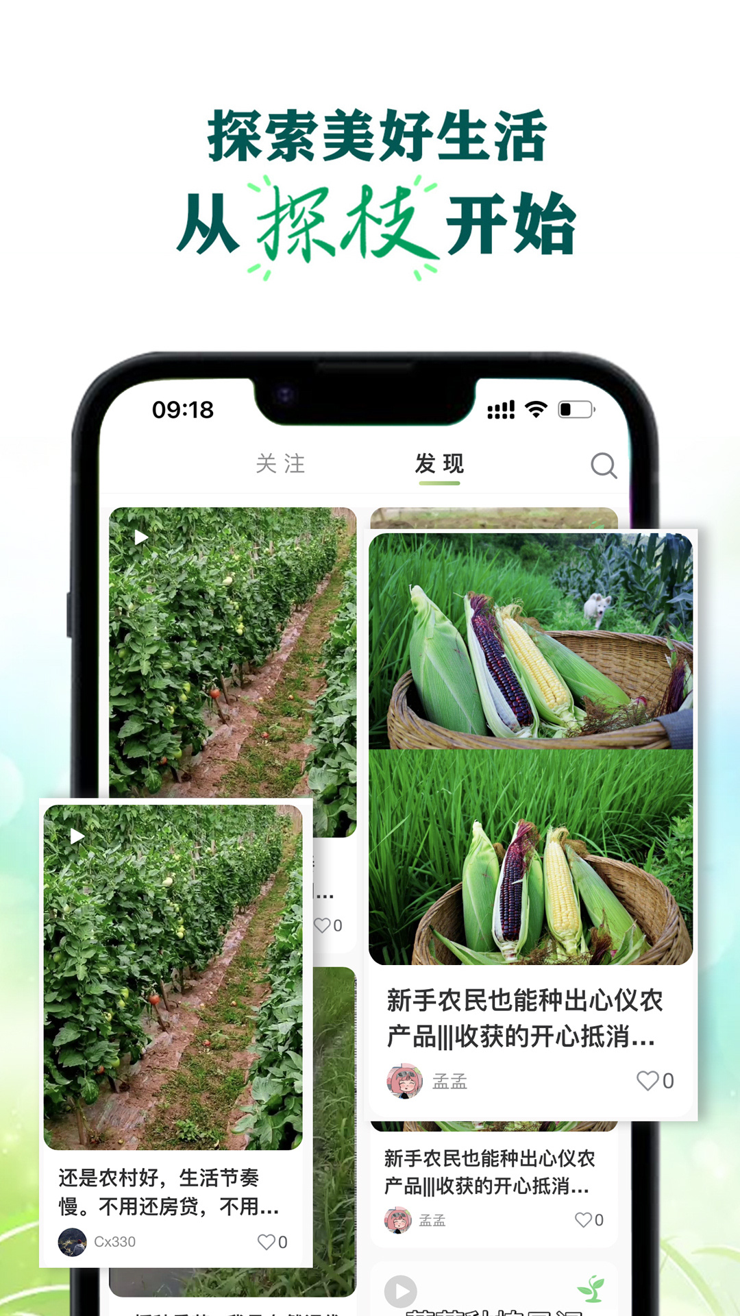 探枝软件封面