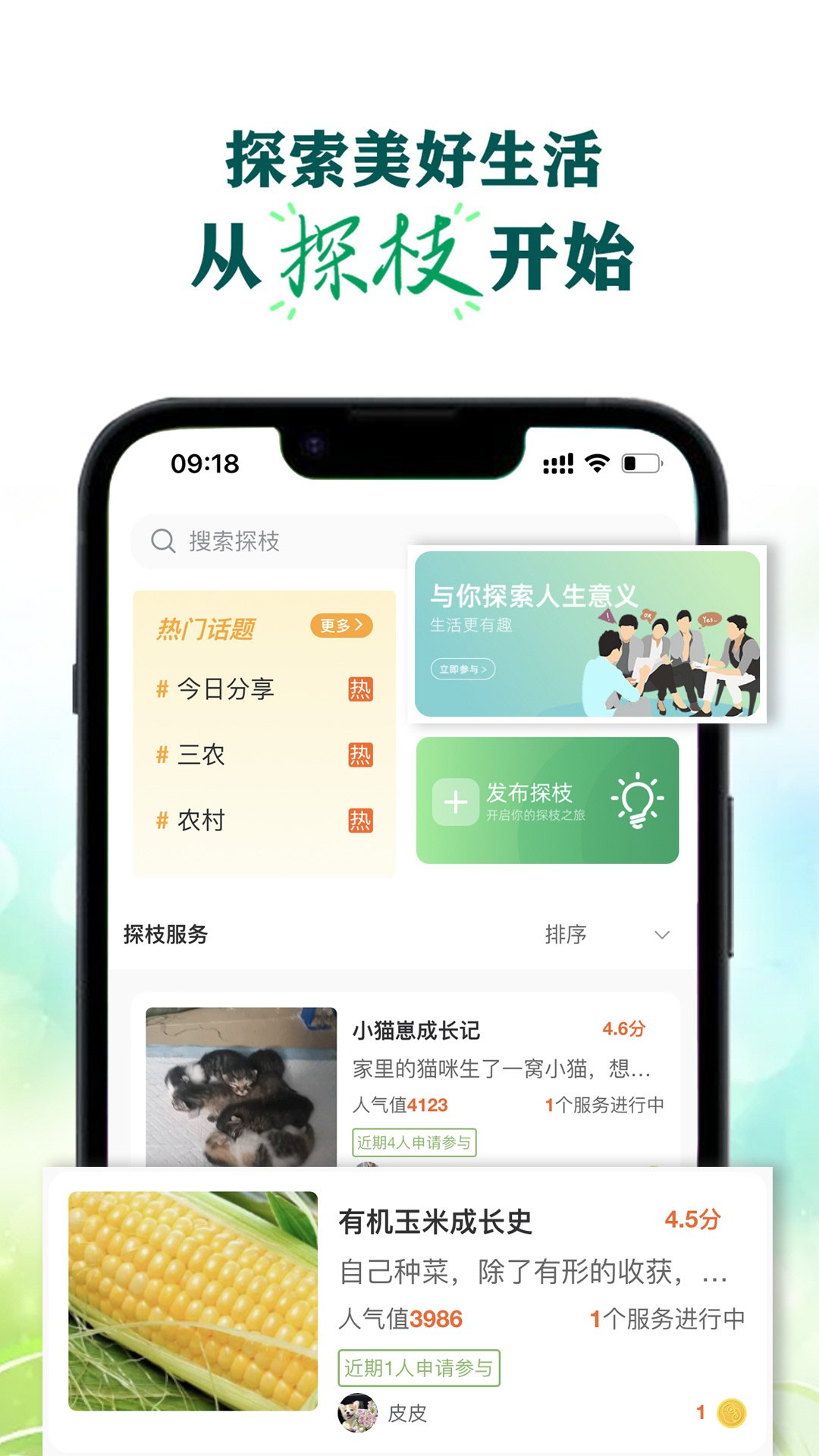 探枝软件封面