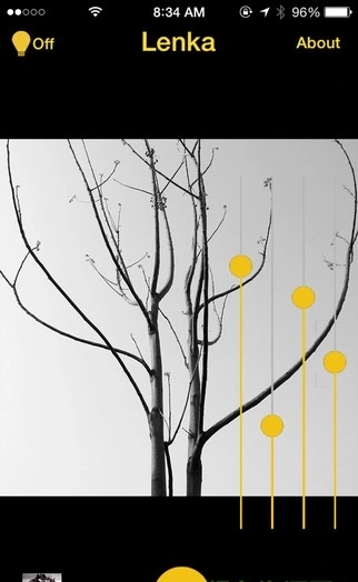 Lenka app软件封面