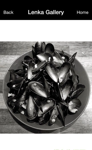 Lenka app软件封面