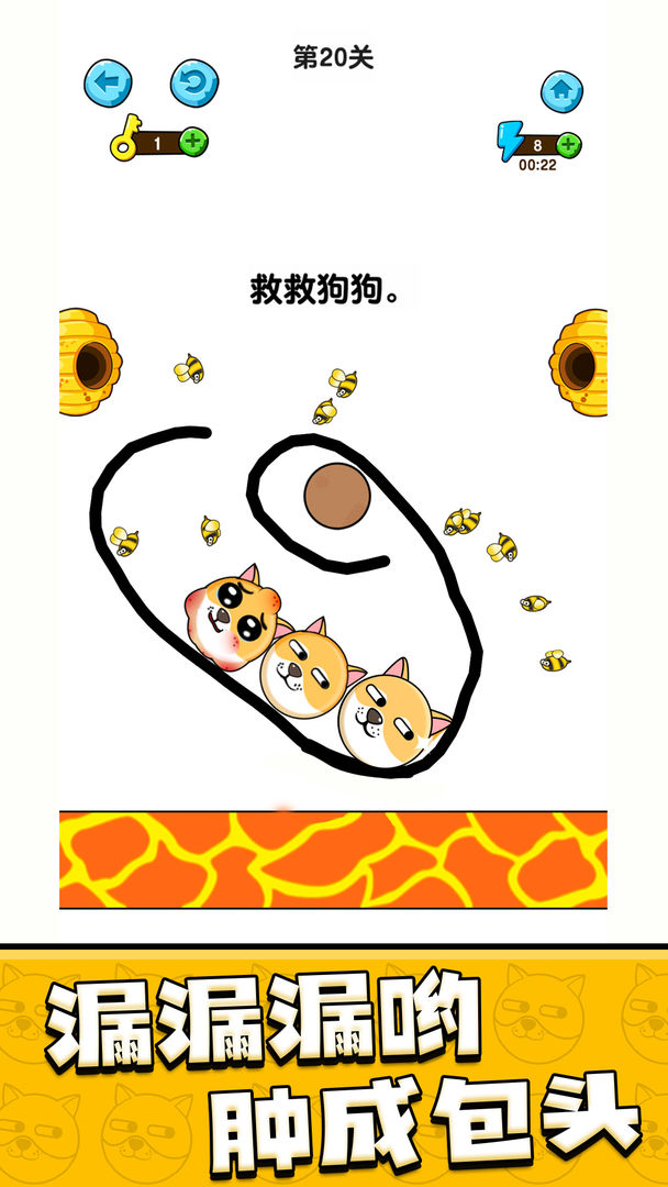 我的狗狗软件封面