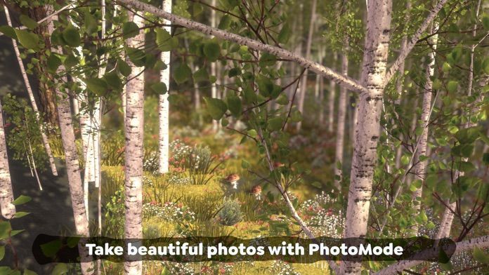 无尽旷野软件封面