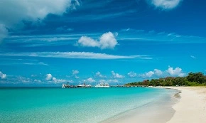 康宝莱直销管理系统