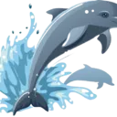 80种动物叫声合集