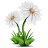 Japtool