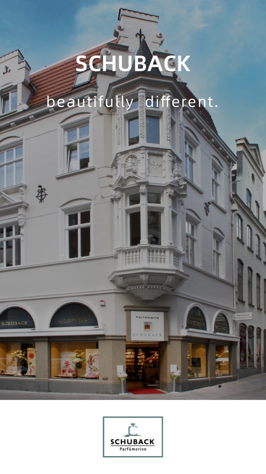 SCHUBACK软件封面