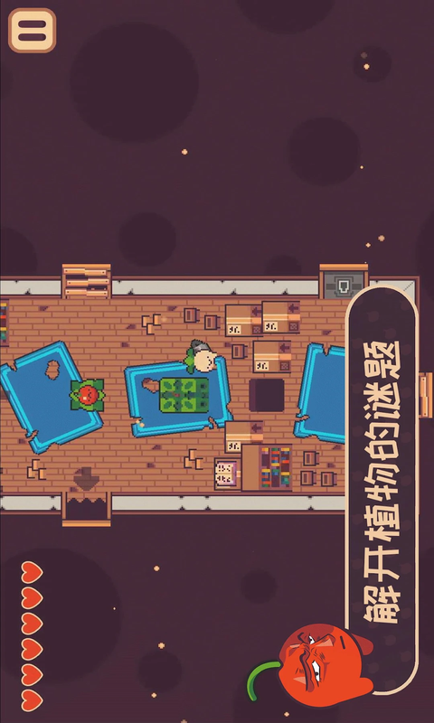 大头菜小子软件封面