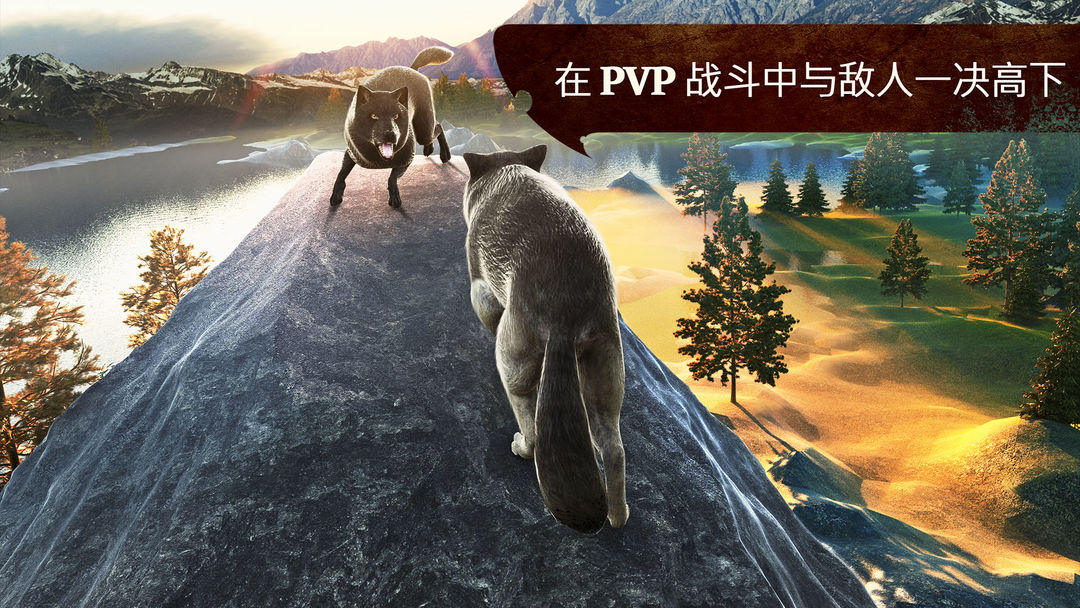 TheWolf软件封面