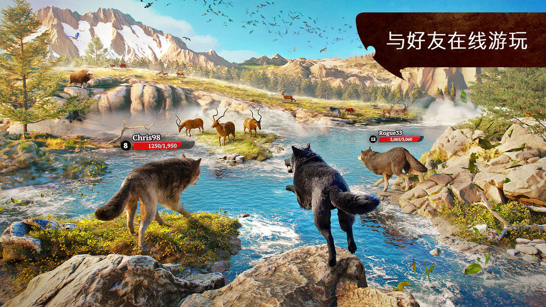 TheWolf软件封面