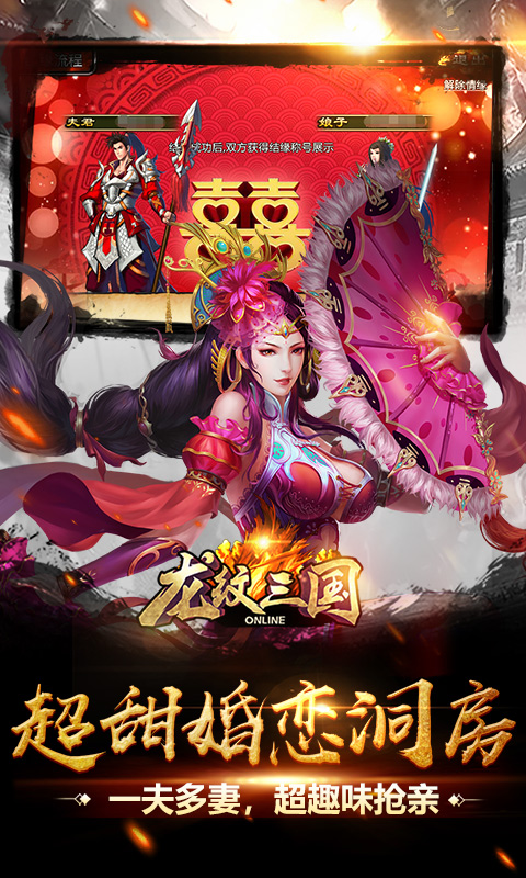 龙纹三国软件封面