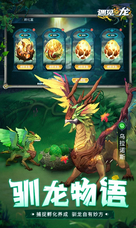 遇见龙软件封面