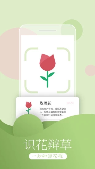 功能展示