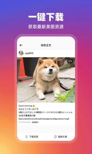 INS订阅器app软件封面