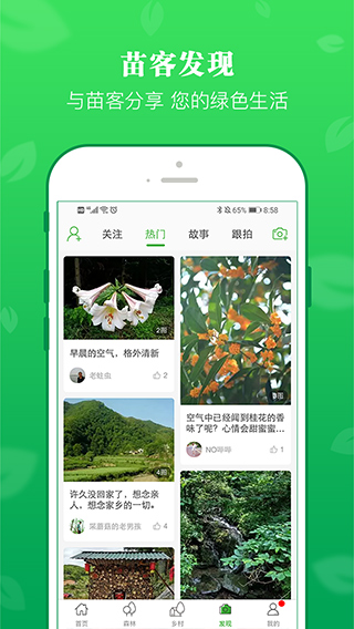 苗客app软件封面