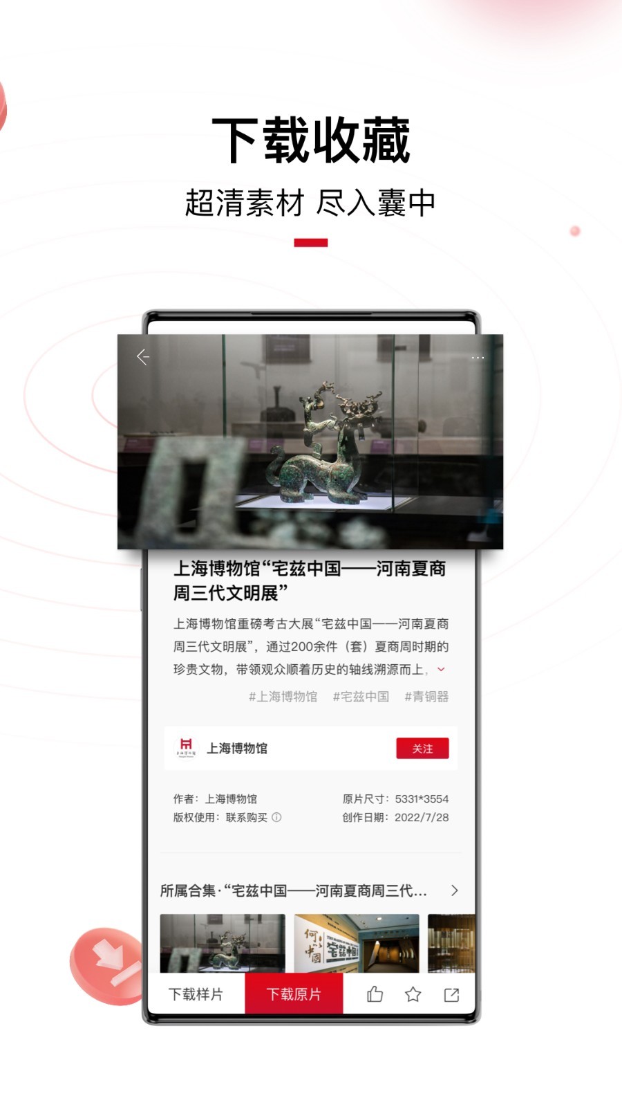 IP SHANGHAI软件封面