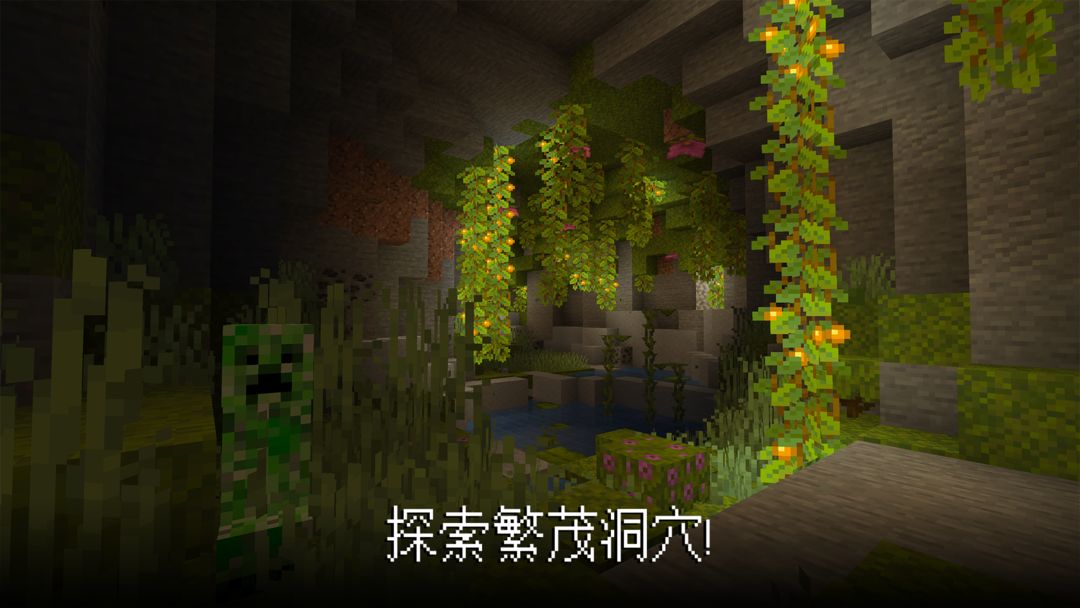 Minecraft软件封面