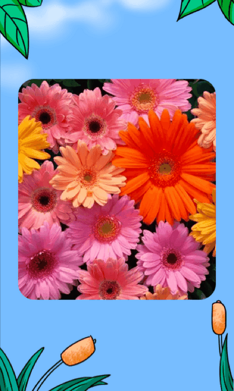 江南花园软件封面