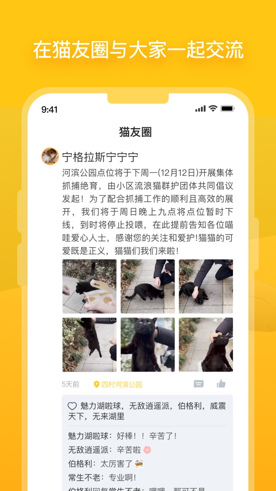 街猫软件封面