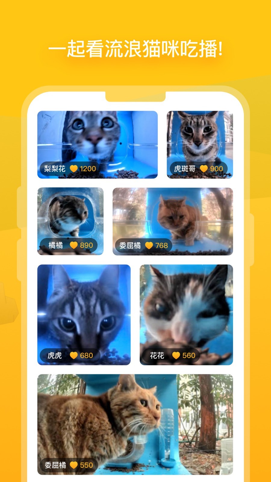 街猫软件封面
