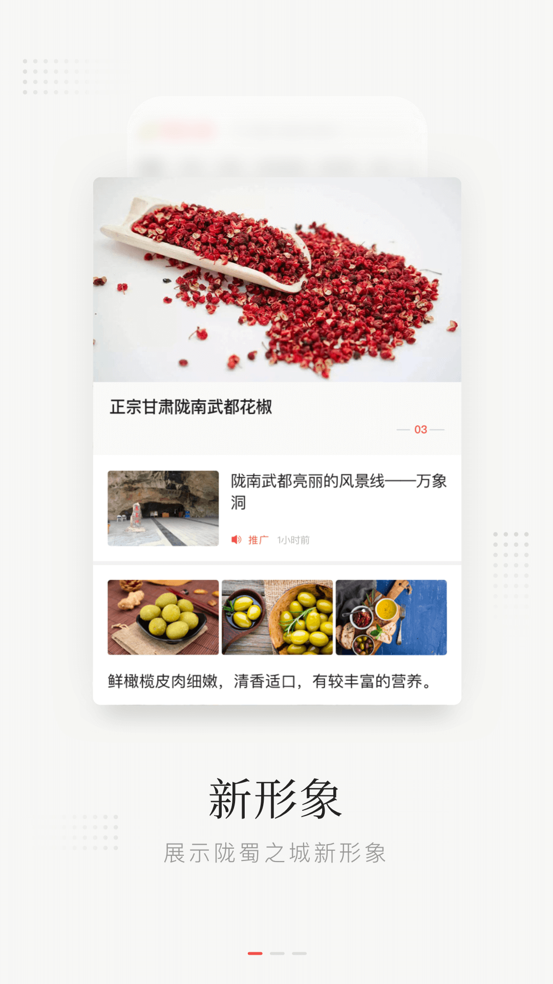陇蜀之城软件封面