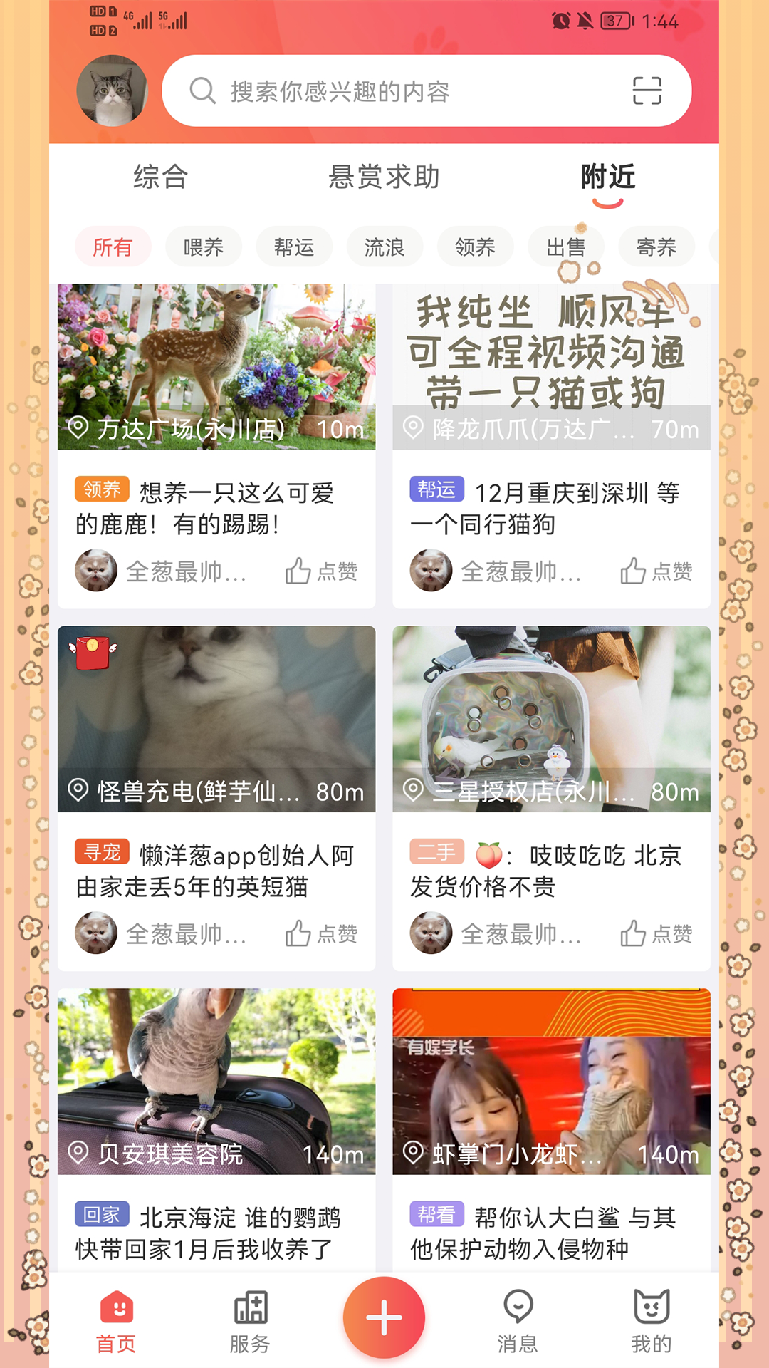 懒洋葱软件封面