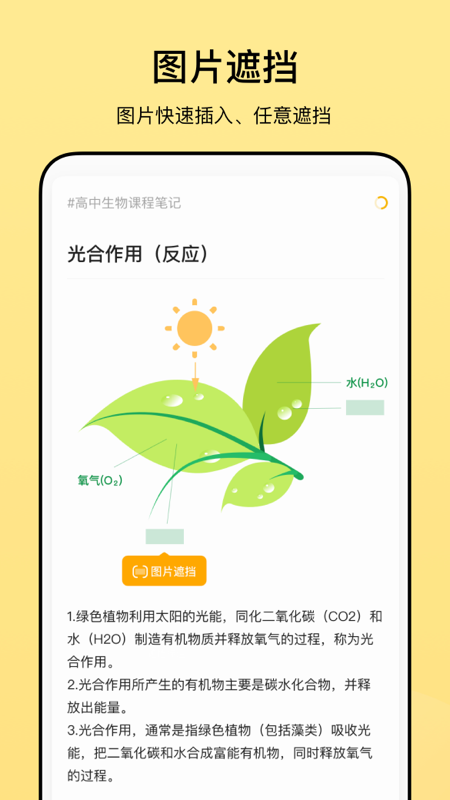 闪记卡软件封面