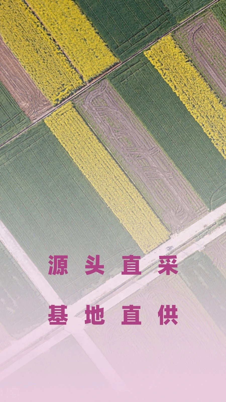 优食智谷重庆软件封面