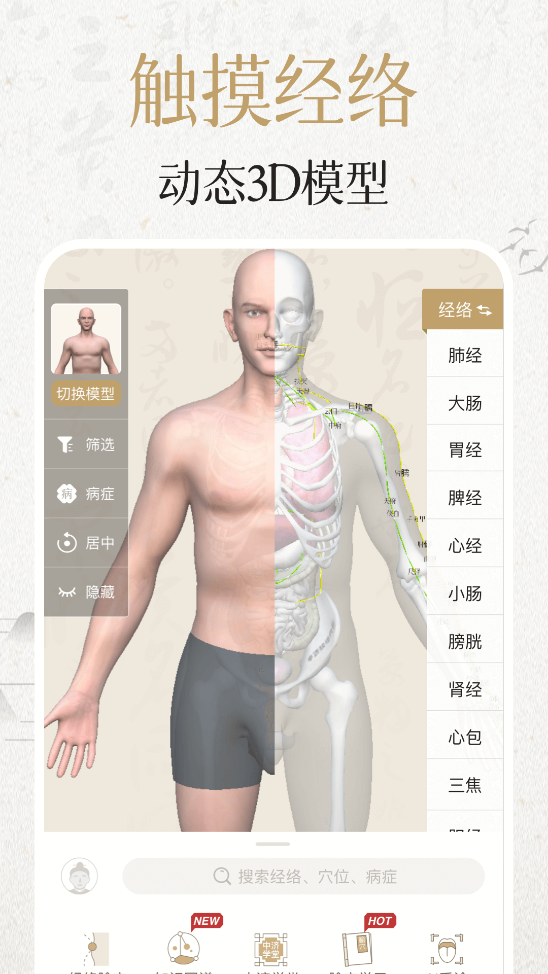 中济经络穴位软件封面
