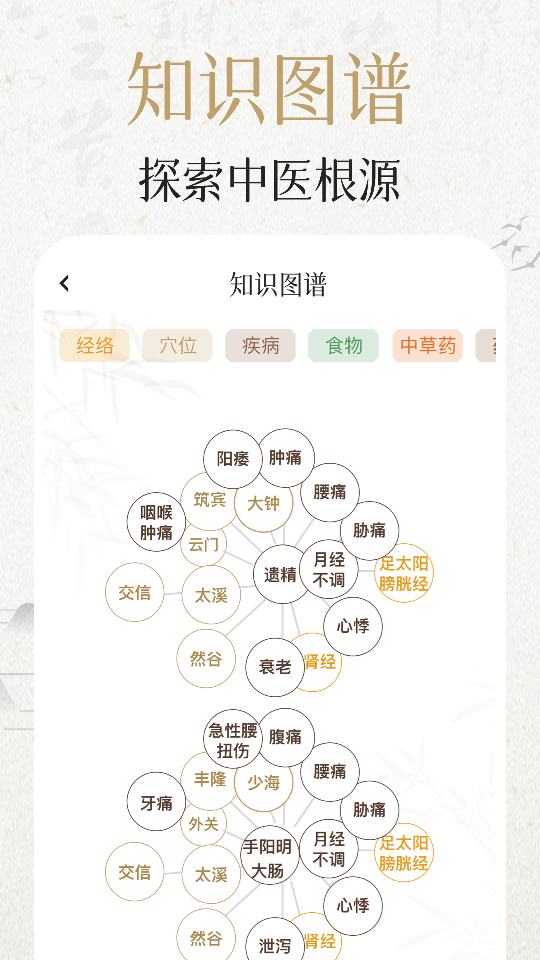 中济经络穴位软件封面