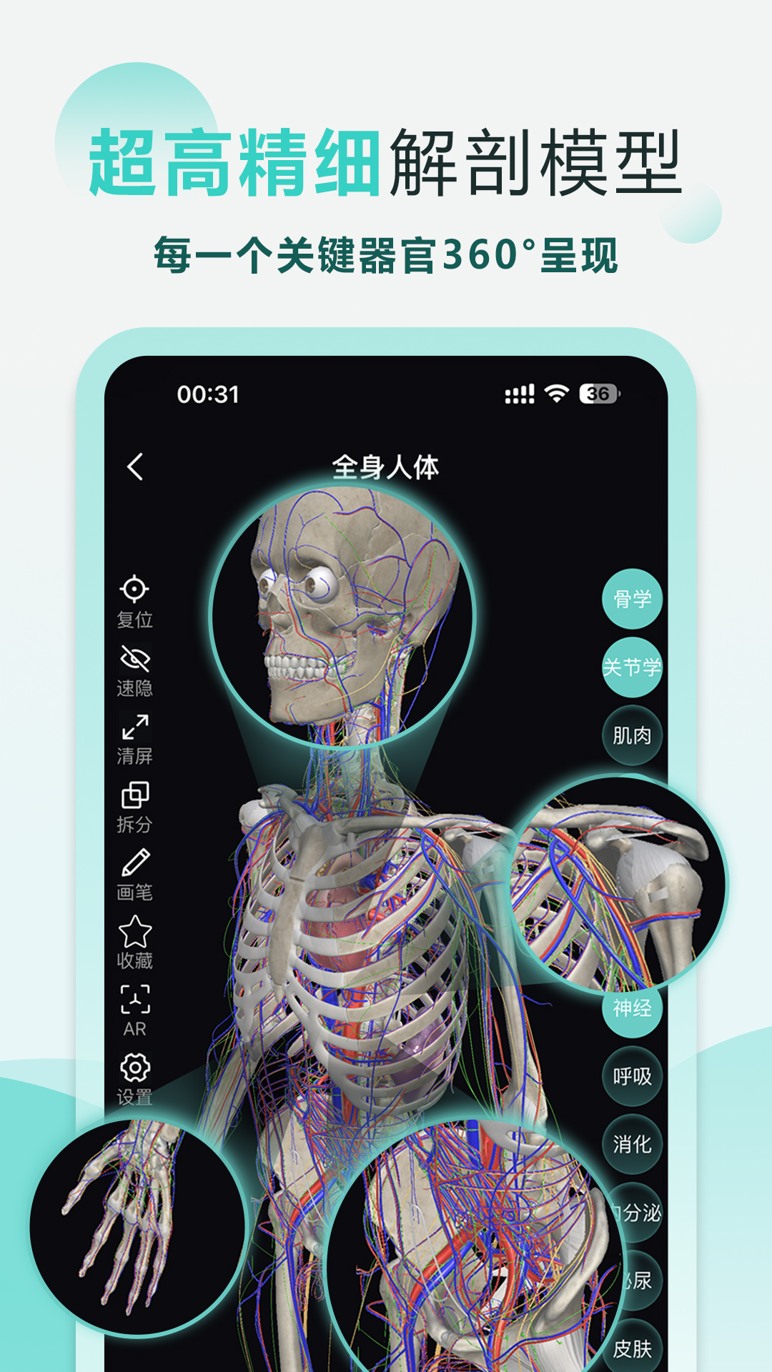 掌上3D解剖软件封面