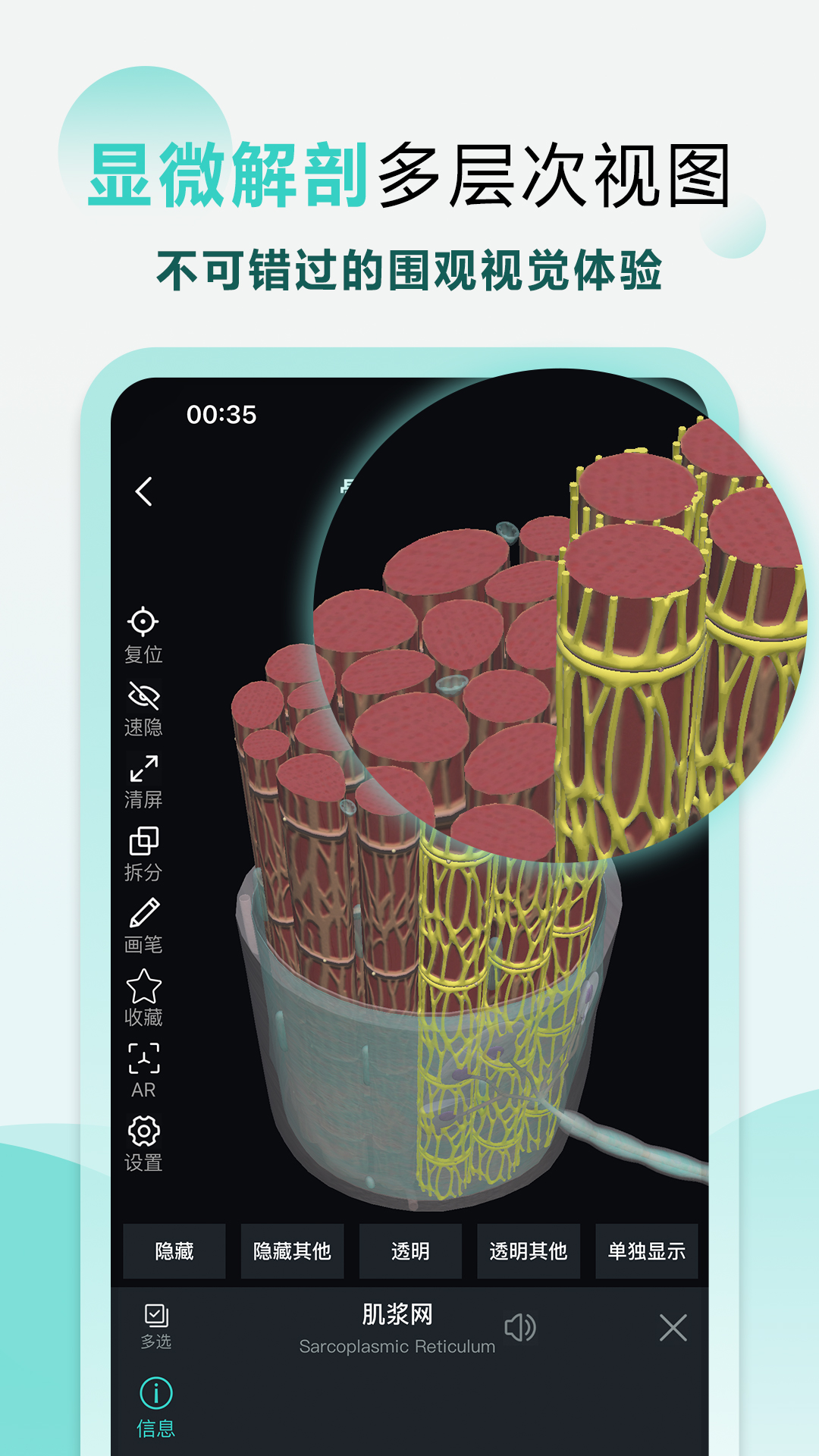 掌上3D解剖软件封面