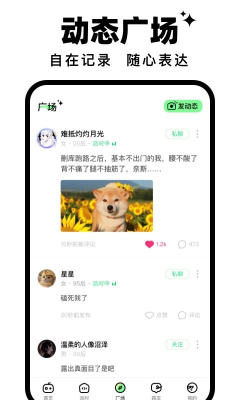 森林派对软件封面