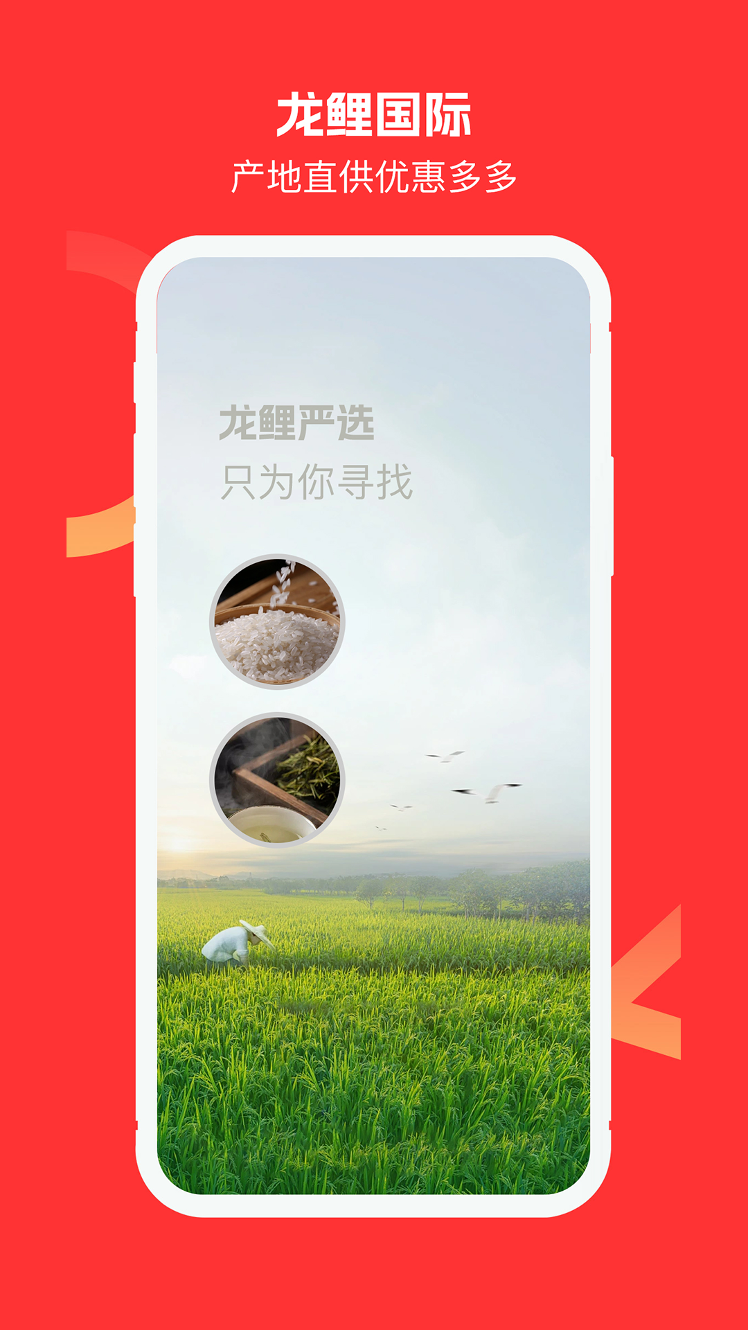 龙鲤国际软件封面