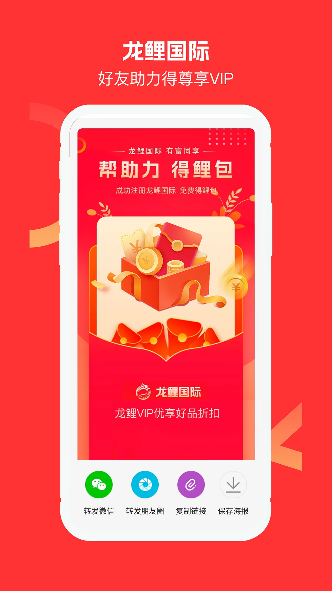 龙鲤国际软件封面