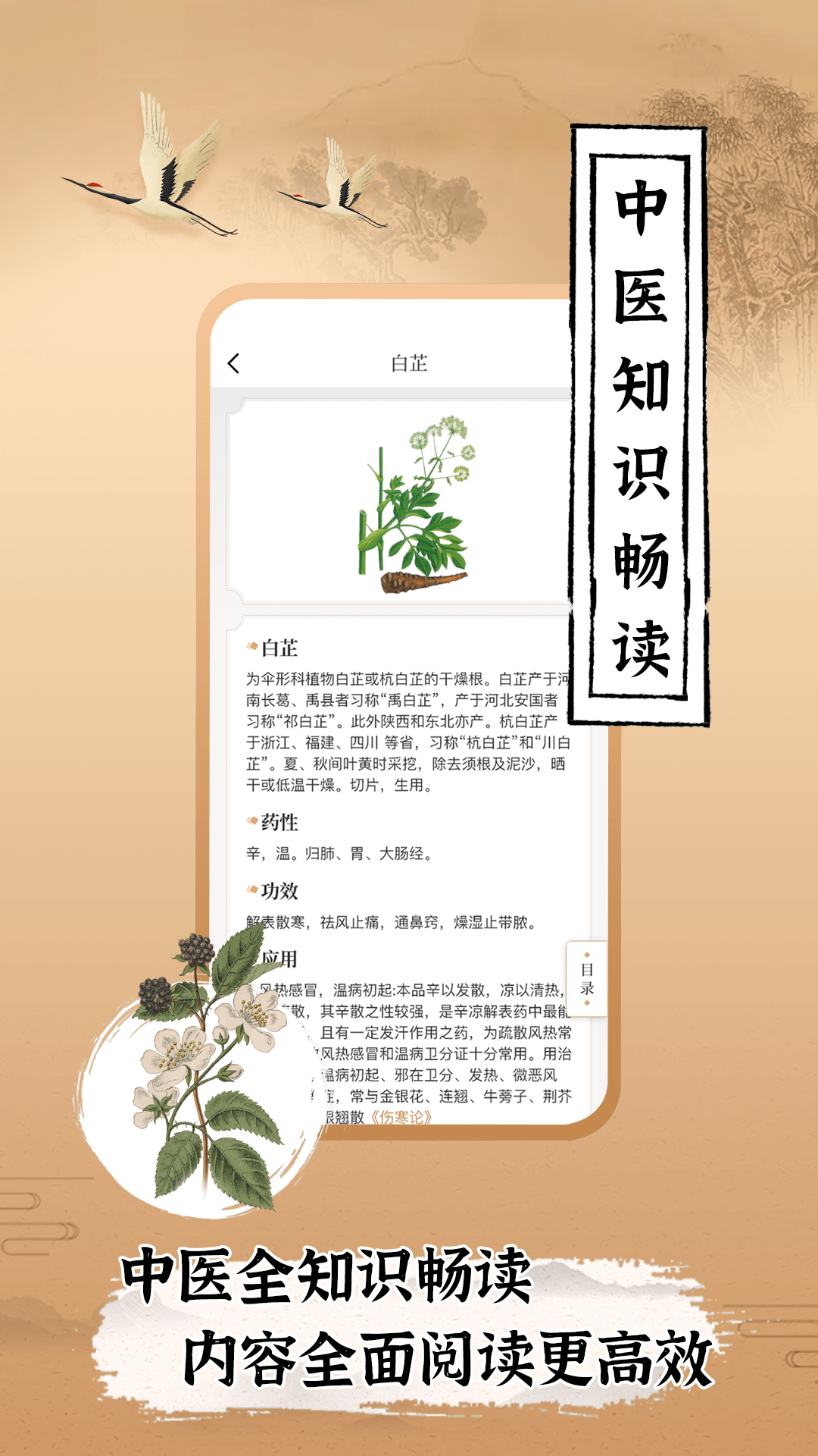 中医世家软件封面
