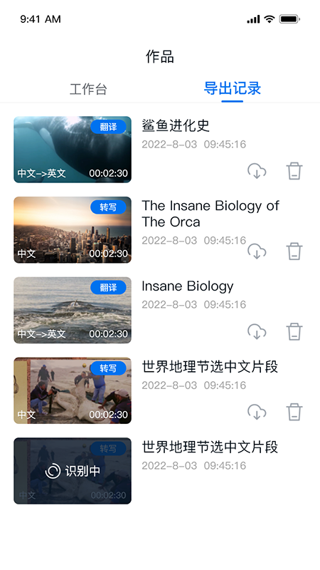 翻外字幕软件封面