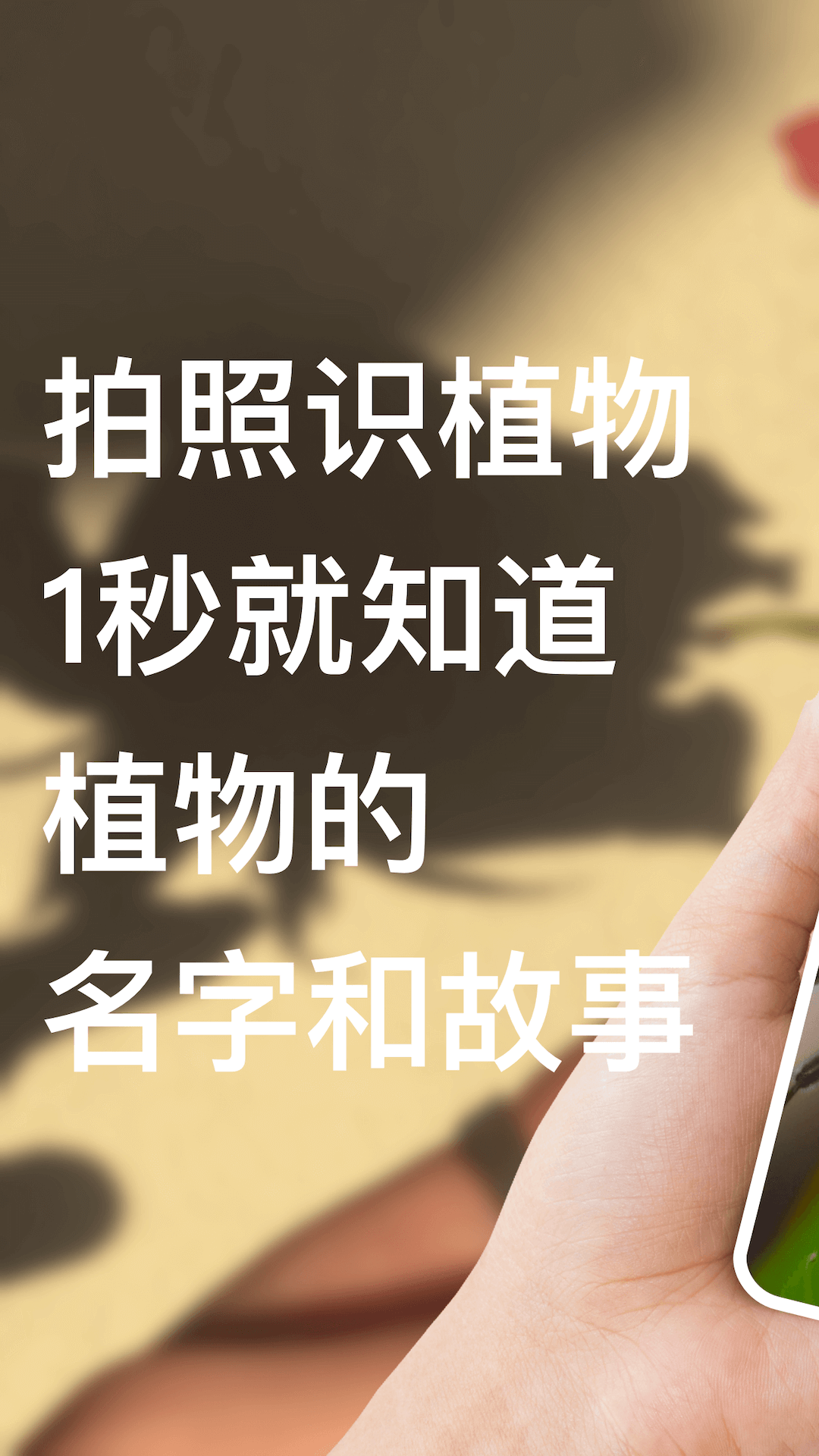 识别花软件封面